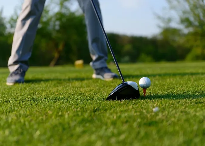 Golfhotel Schloss Reichmannsdorf 호텔 4*
